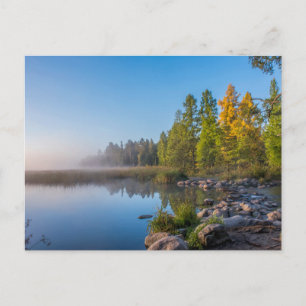 Itasca State Park, Minnesota Vykort