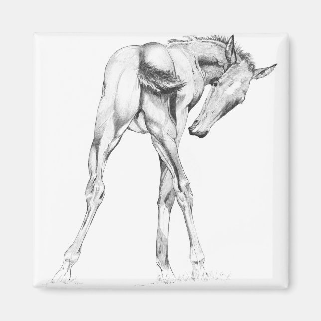 Itch Magnet (Framsidan)