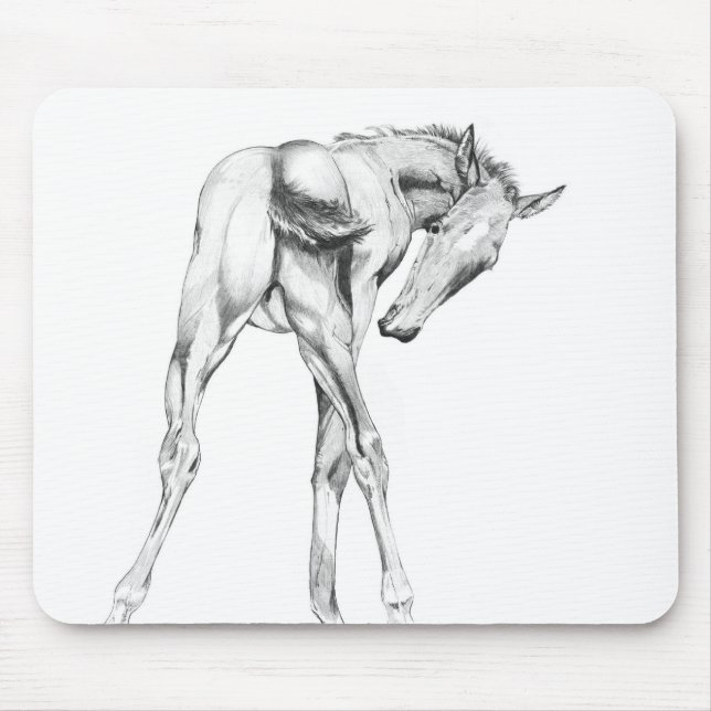 Itch Musmatta (Framsidan)