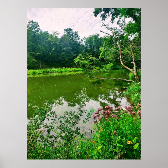 ITHACA NEW YORK NATURE RESERVE POSTER (Framsidan)