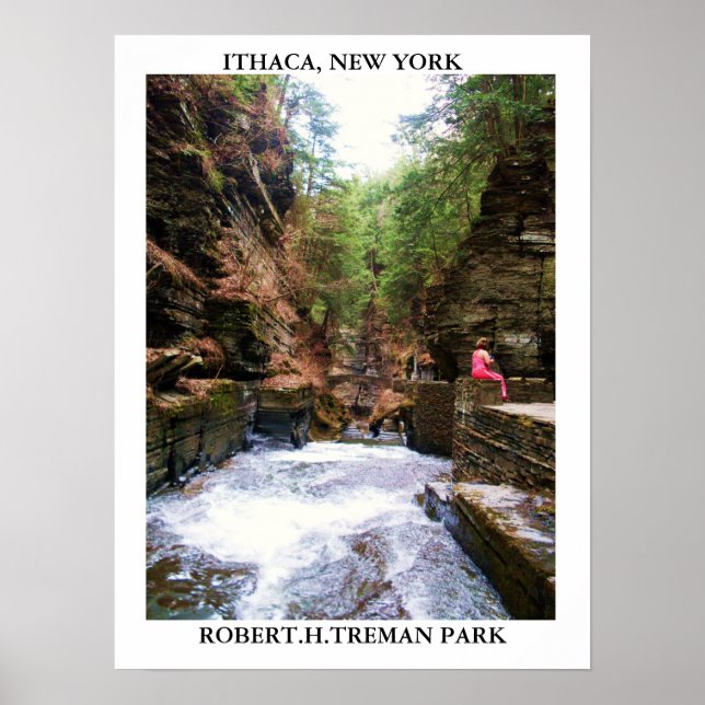 ITHACA, NEW YORK, ROBERT.H.TREMAN PARK poster (Framsidan)