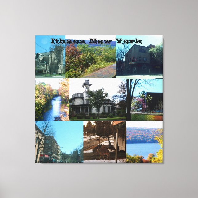 ITHACA, NYA YORK CANVASTRYCK (Framsida)