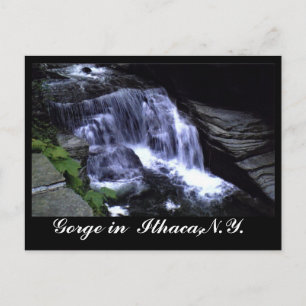 ITHACA:S GORGES, N.Y. vykort
