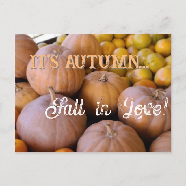 It's Autumn Fall in Love!! Pumpkins Holiday Season Vykort (Framsida)