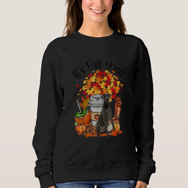 It's Fall Y'all Great Dane Dog Pumpkin Fall Autumn T Shirt (Framsida)