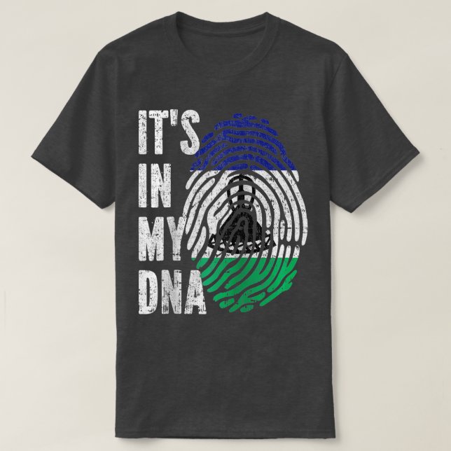 ITS IN MY DNA Lesotho Flagga Basotho Raglan Baseba T Shirt (Design framsida)