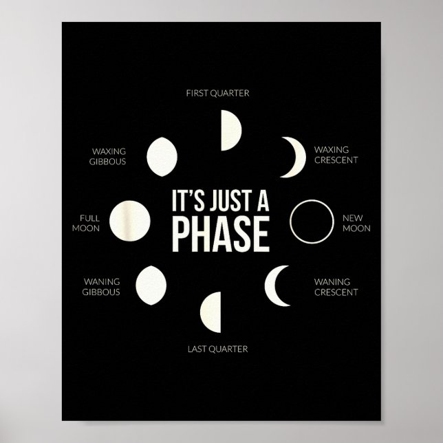 It's Just A Phase Lunar Phases New Moon Earth Hemi Poster (Framsidan)