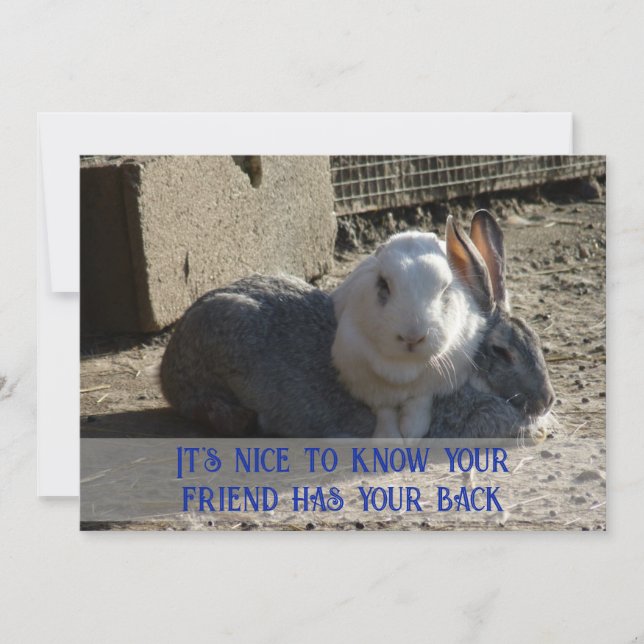 it's nice to know ... julkort (Framsida)