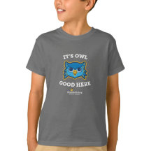It's Owl Good Florida Virtual Middle School, Ungdo