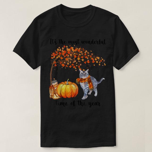 It's The Most Wonderful Autumn Time Cat Scarf Pump T Shirt (Design framsida)