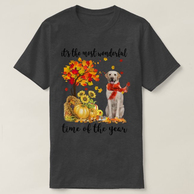 It's The Most Wonderful Autumn Time Labrador Pumpk T Shirt (Design framsida)