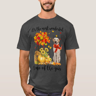 It's The Most Wonderful Autumn Time Labrador Pumpk T Shirt
