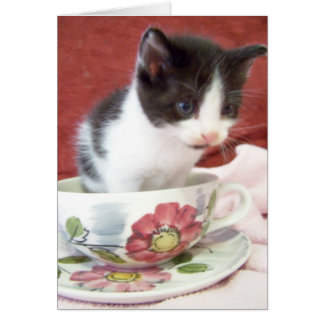 itsy bitsy 4 vecka kattunge hälsningskort