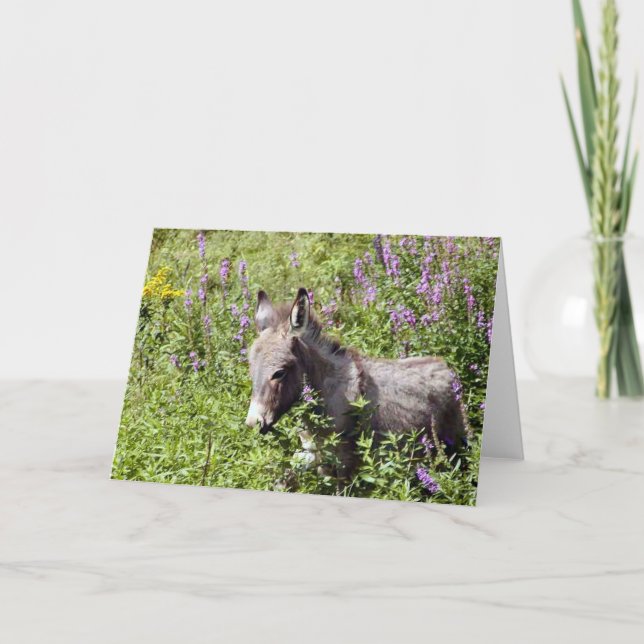 Itsy Kort (Framsida)