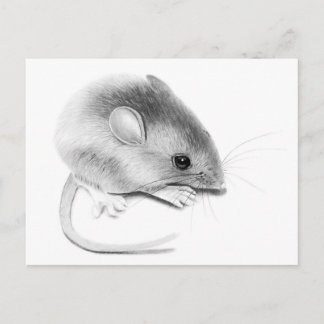 Itty Bitty Mouse Vykort