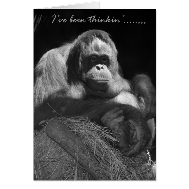 Ive Been Thinkin' Hälsningskort (Framsidan)