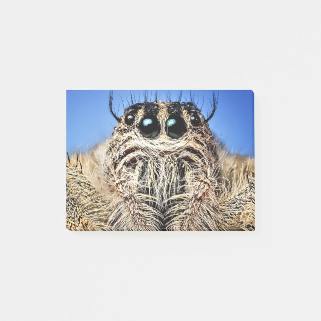 I've got my eyes on you! post-it block (Framsida)