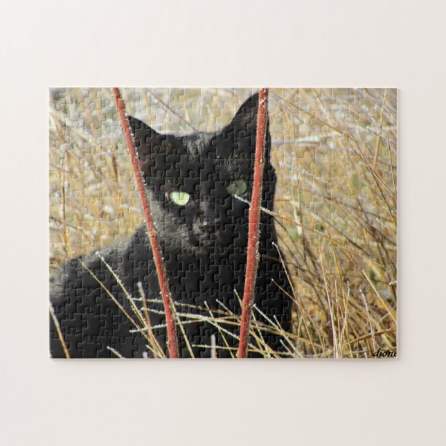 Ive inramat eller tillfogar ditt egna foto pussel (Horisontell)