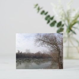 Ive vid vintern vykort