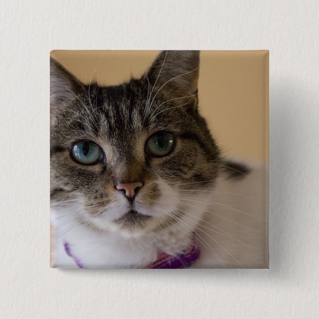 Ivey Knapp (Framsida)