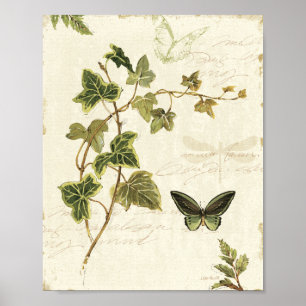 Ivies och Butterflies Poster