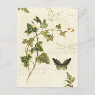 Ivies och Butterflies Vykort