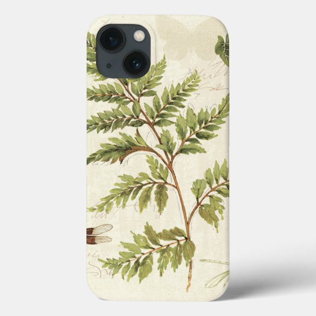 Ivies och Ferns (Baksida)