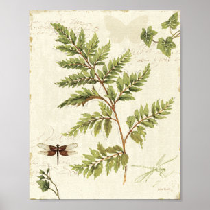 Ivies och Ferns Poster