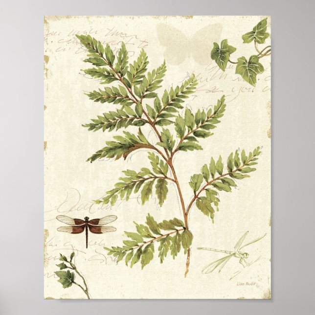 Ivies och Ferns Poster (Framsidan)