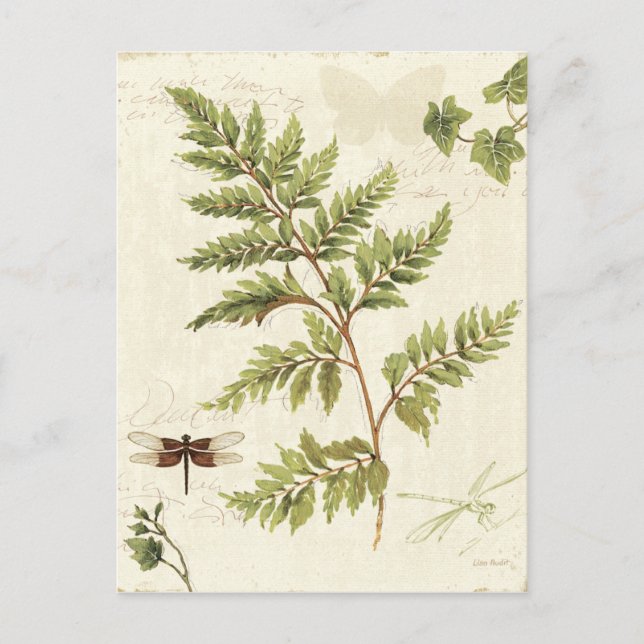 Ivies och Ferns Vykort (Framsida)