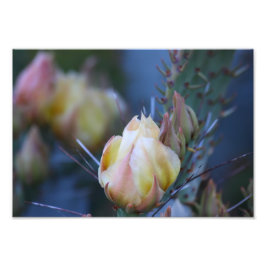 Ivory cactus fototryck
