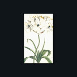 Ivory Garden Canvastryck<br><div class="desc">Ivory Garden V av Curtis. Har blommor av elfenbensfärgad mot neutraltens bakgrund.</div>