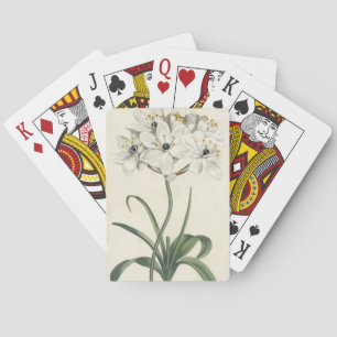 Ivory Garden Casinokort