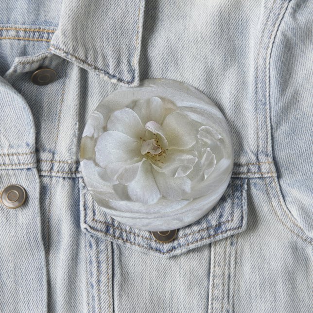 Ivory White Knapp (In Situ)