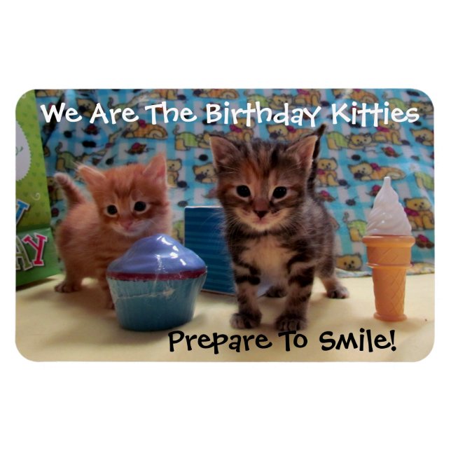 Ivy and Parker's Birthday Magnet - Cat / Kitten (Horisontell)