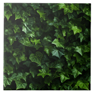 Ivy Background, Grönt Löv, Naturalistisk realism Kakelplatta