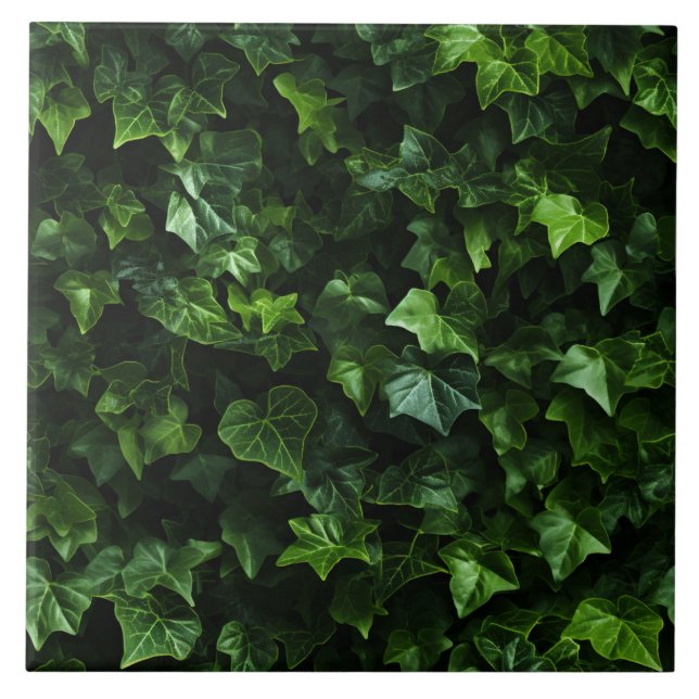 Ivy Background, Grönt Löv, Naturalistisk realism Kakelplatta (Framsidan)