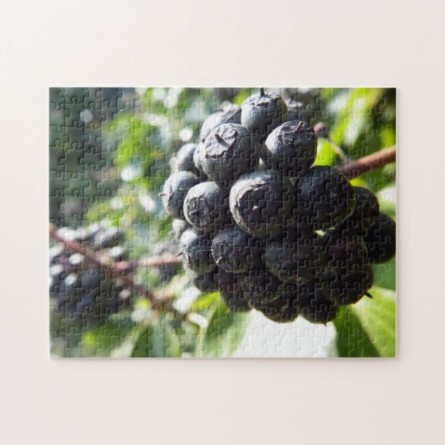 Ivy Berries Jigszle Puzzle Pussel (Horisontell)