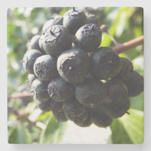 Ivy Berries Stone Underlägg Sten