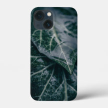 Ivy Blommigt Nature Photo