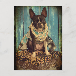 Ivy Boston Terrier Vykort