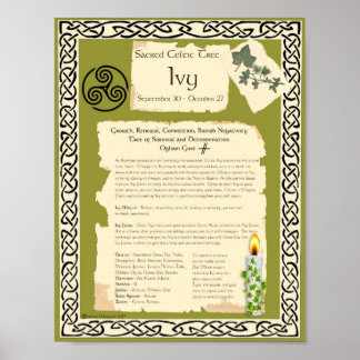 IVY CELTIC HELIG TRÄD POSTER
