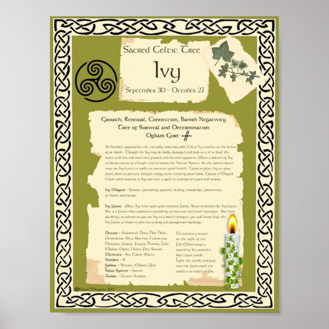 IVY CELTIC HELIG TRÄD POSTER (Framsidan)