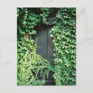 Ivy Door Vykort