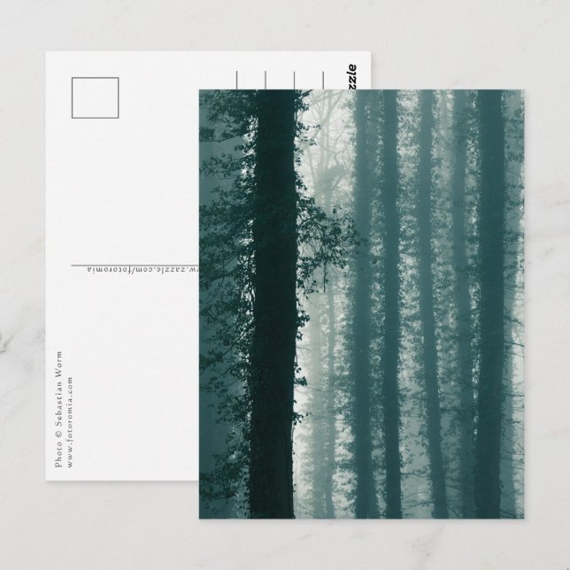 Ivy Forest Nature Photo Vykort (Fram/baksida)