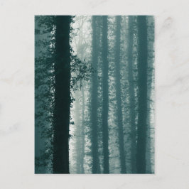 Ivy Forest Nature Photo Vykort