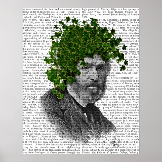 Ivy Head Plant Head Poster (Framsidan)