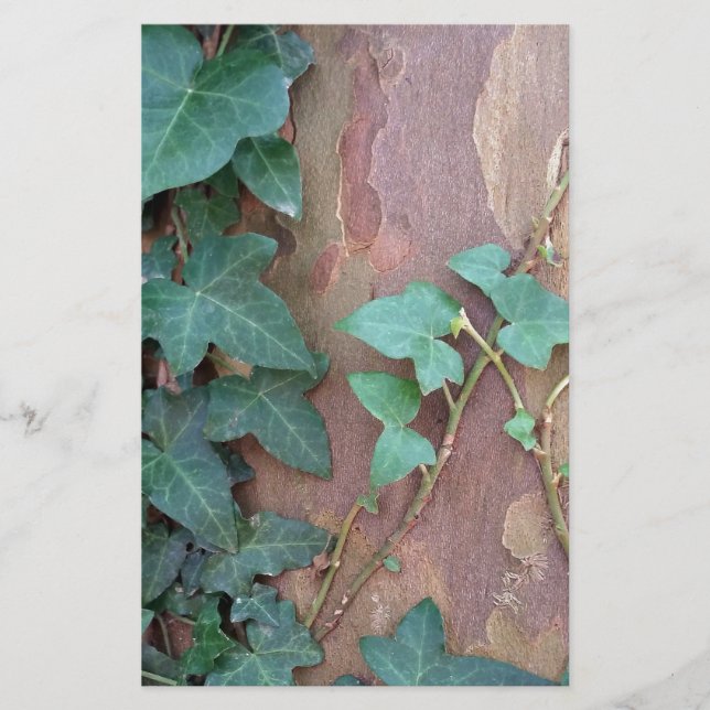 ivy i träd brevpapper (Framsida)
