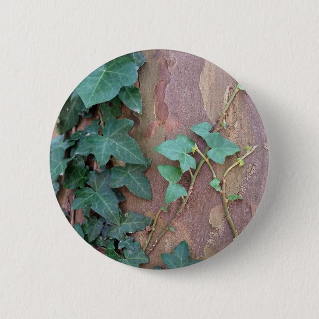 ivy i träd knapp (Framsida)
