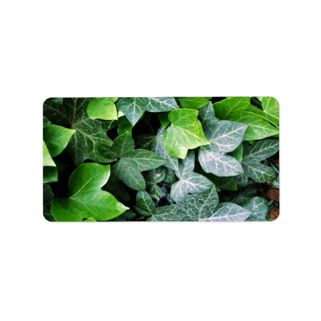 Ivy Löv Adressetikett (Framsidan)